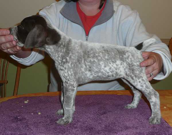 Dolly 6 Weeks