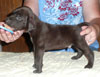Jack 4 Weeks