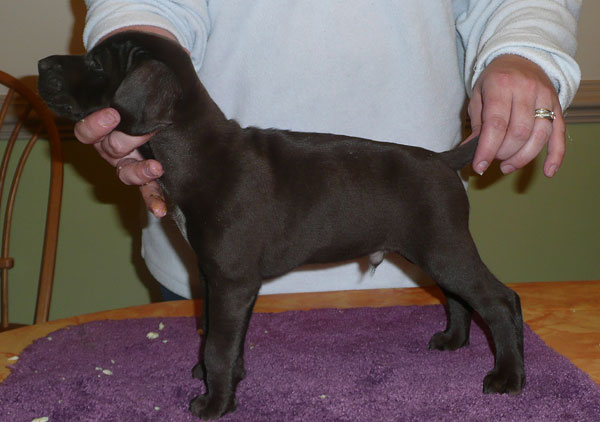 Jack 6 weeks