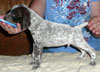 Lee 4 Weeks