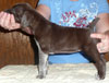 Sally 4 Weeks