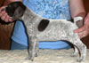 Sheila 4 Weeks