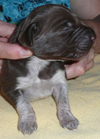 Sally