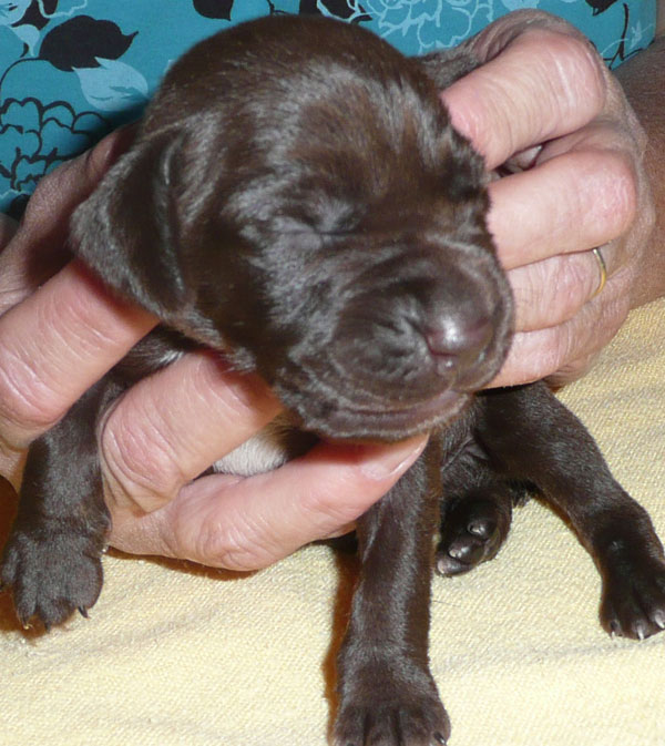 Jack