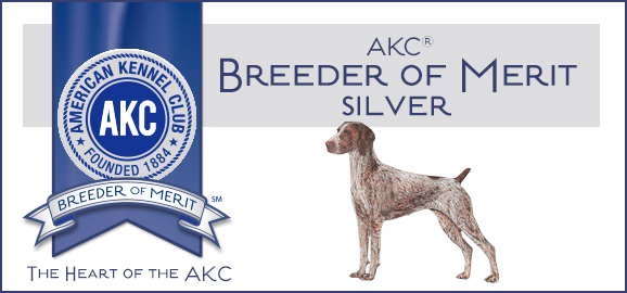 Breeder of Merit - Silver