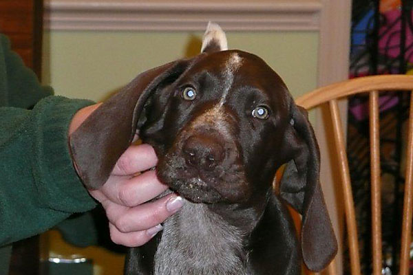Baxter