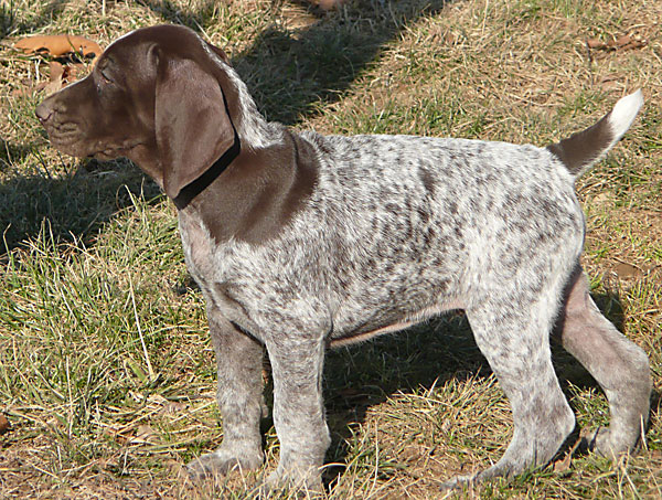 Baxter