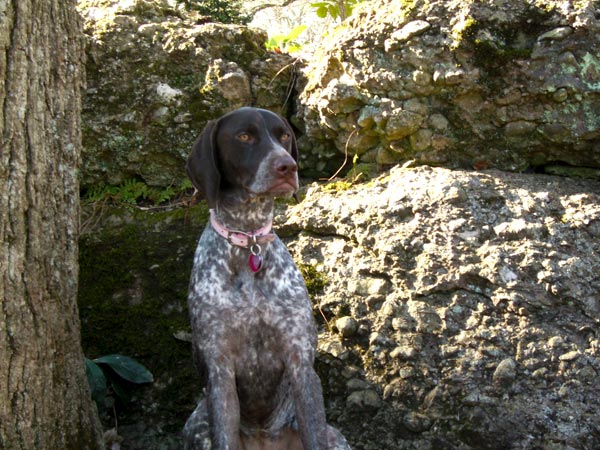 Jezzebelle Rose 2009